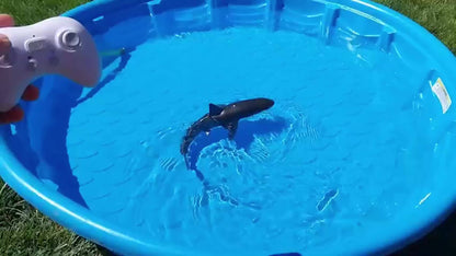 2.4GHz Remote Control Whale Shark Toy - 1:18 Scale High-Definition Electric Remote Control Whale Shark with Lighting & Water Spraying, USB Rechargeable, Blue & White Design, Perfect for Boys Ages 6+, Pool Toy, Playful Design,